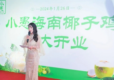 案例展示